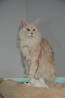 nickybaer_katzenfoto_201304_043