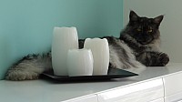 nickybaer_katzenfoto_201306_019