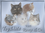TopListe von Rusty & Co.