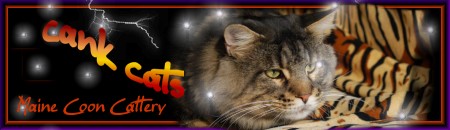 CankCats