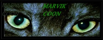 MarvikCoon