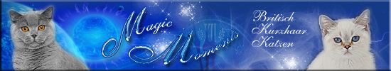 MagicMoments